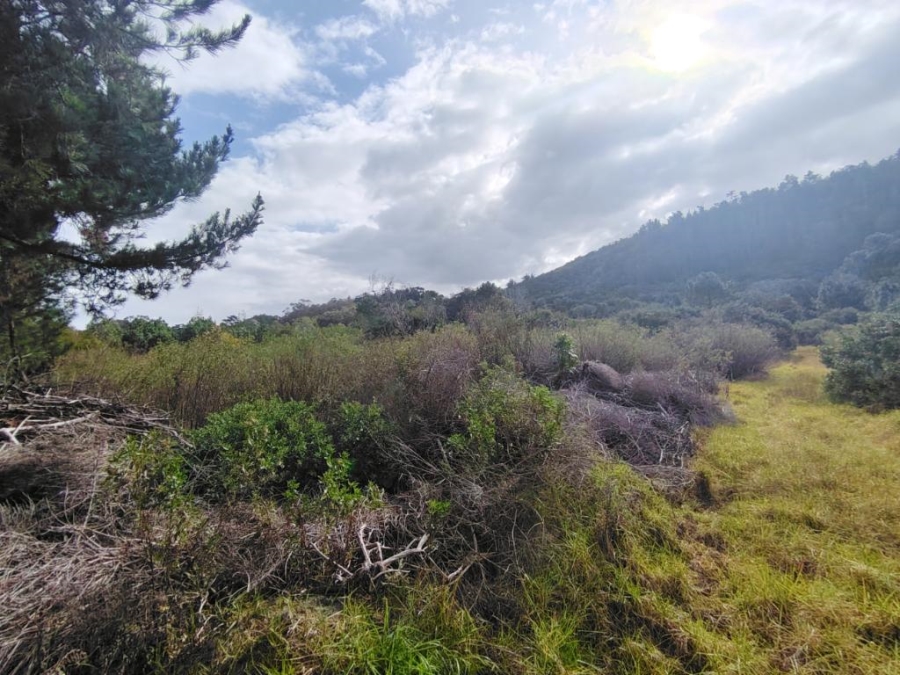 0 Bedroom Property for Sale in Keurbooms Western Cape
